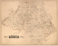 Mills County Texas 1888 - Old Map Reprint