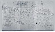 Part of Pecos County Texas 1891 Copy A - Old Map Reprint