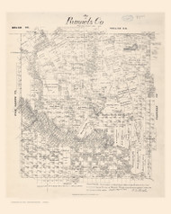 Runnels County Texas 1879 Copy B - Old Map Reprint