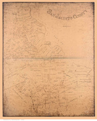 San Jacinto County Texas ca1890 - Old Map Reprint
