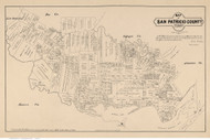 San Patricio County Texas 1879 - Old Map Reprint