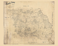Shelby County Texas 1899 - Old Map Reprint