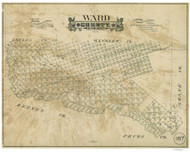 Ward County Texas 1889 - Old Map Reprint