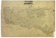 Ward County Texas 1890 - Old Map Reprint