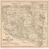 Wood County Texas 1879 - Old Map Reprint