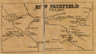 New Fairfield Village, Connecticut 1858 Fairfield Co. - Old Map Custom Print