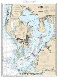 Tampa Bay and Area 2015 - Florida 80,000 Scale Custom Chart