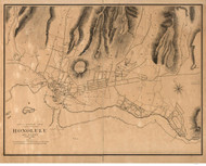 Honolulu 1887 Wall - Old Map Reprint - Hawaii Cities