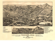 Trinidad, Colorado 1882 Bird's Eye View - LC