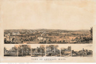 Amherst, Massachusetts ca 1850 Bird's Eye View - Old Map Reprint BPL