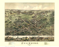 Cheshire, Connecticut 1882 Bird's Eye View - Old Map Reprint
