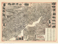 Norwalk, Connecticut 1899 Bird's Eye View - Old Map Reprint