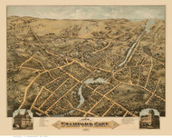 Stamford, Connecticut 1875 Bird's Eye View - Old Map Reprint BPL