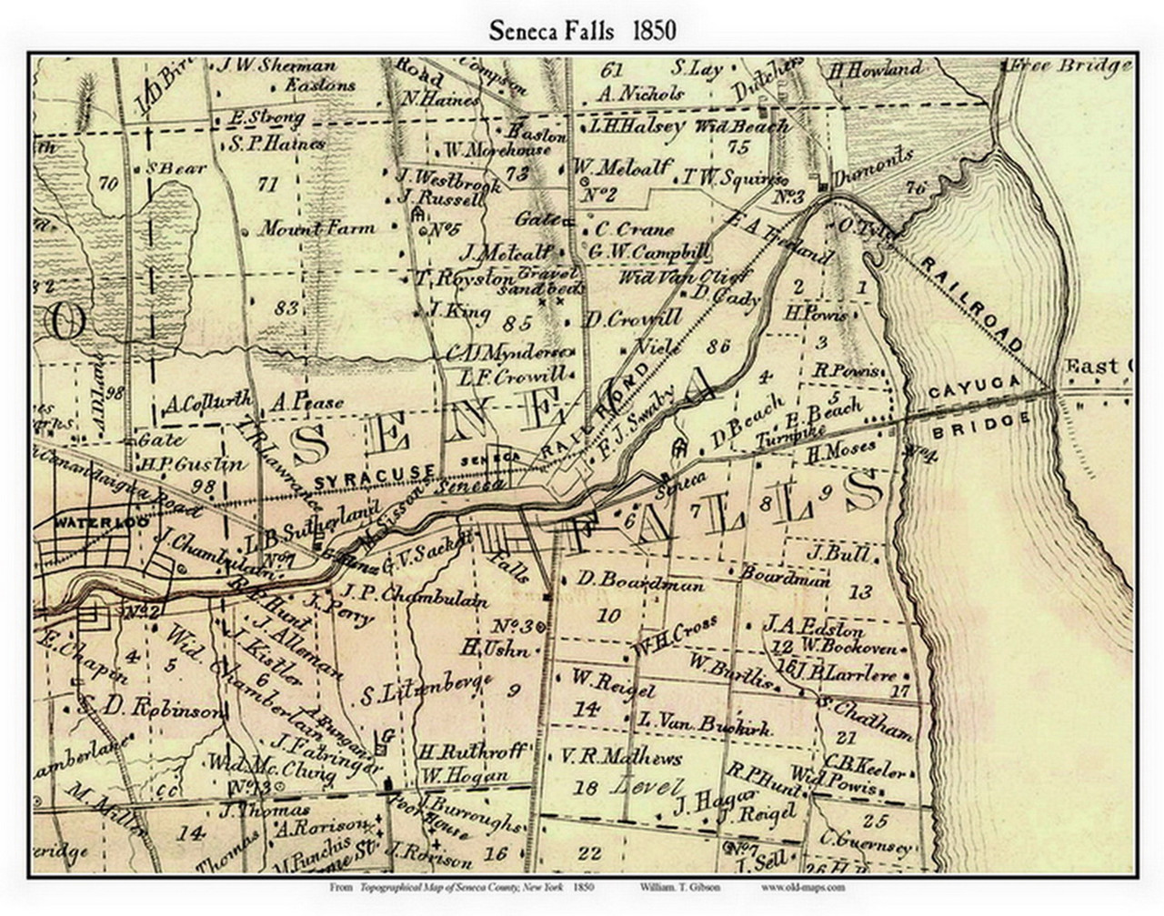 Seneca Falls, New York 1850 Custom Old Town Map with Homeowner Names