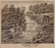 Mongaup Falls, New York 1856 Old Town Map Custom Print - Sullivan Co.