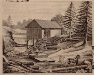 Lumber Mill, New York 1856 Old Town Map Custom Print - Sullivan Co.