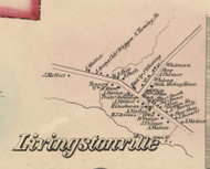 Livingstonville, New York 1856 Old Town Map Custom Print - Schoharie Co.