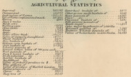 Agricultural Statistics, New York 1856 Old Town Map Custom Print - Schoharie Co.