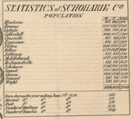 Population Statistics, New York 1856 Old Town Map Custom Print - Schoharie Co.