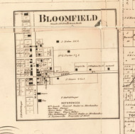 Bloomfield - Edgar Co., Illinois 1870 Old Town Map Custom Print - Edgar Co.