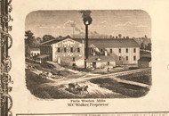 Paris Woolen Mills - Edgar Co., Illinois 1870 Old Town Map Custom Print - Edgar Co.