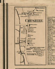 Cheshire Village, New York 1859 Old Town Map Custom Print - Ontario Co.