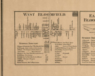 West Bloomfield Village, New York 1859 Old Town Map Custom Print - Ontario Co.
