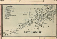 East Randolph Village, New York 1856 Old Town Map Custom Print - Cattaraugus Co.