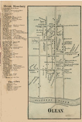 Olean Village, New York 1856 Old Town Map Custom Print - Cattaraugus Co.