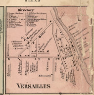 Versailles Village, New York 1856 Old Town Map Custom Print - Cattaraugus Co.