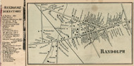 Randolph Village, New York 1856 Old Town Map Custom Print - Cattaraugus Co.