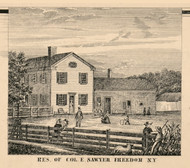 Sawyer Residence, Freedom, New York 1856 Old Town Map Custom Print - Cattaraugus Co.