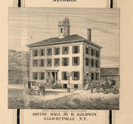 Baldwin Residence Irvine Hall, Ellicottville, New York 1856 Old Town Map Custom Print - Cattaraugus Co.