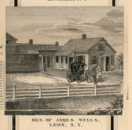 Wells Residenc, Leon, New York 1856 Old Town Map Custom Print - Cattaraugus Co.