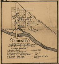 CerescoVillage, Marshall, Michigan 1858 Old Town Map Custom Print - Calhoun Co.