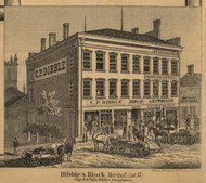 Dibble's Block, Marshall, Michigan 1858 Old Town Map Custom Print - Calhoun Co.
