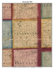 Bainbridge, Michigan 1860 Old Town Map Custom Print - Berrien Co.