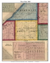 Three Oaks, Michigan 1860 Old Town Map Custom Print - Berrien Co.