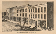 Niles Merchants Exchange, Michigan 1860 Old Town Map Custom Print - Berrien Co.