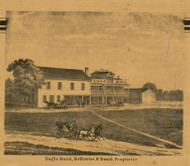 Eagle Hotel, Michigan 1860 Old Town Map Custom Print - Eaton Co.