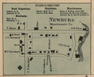 Newburg, Michigan 1859 Old Town Map Custom Print - Shiawassee Co.