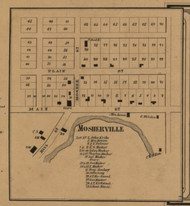 Mosherville, Michigan 1857 Old Town Map Custom Print - Hillsdale Co.