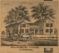 Residence of Henry Packer, Michigan 1857 Old Town Map Custom Print - Hillsdale Co.