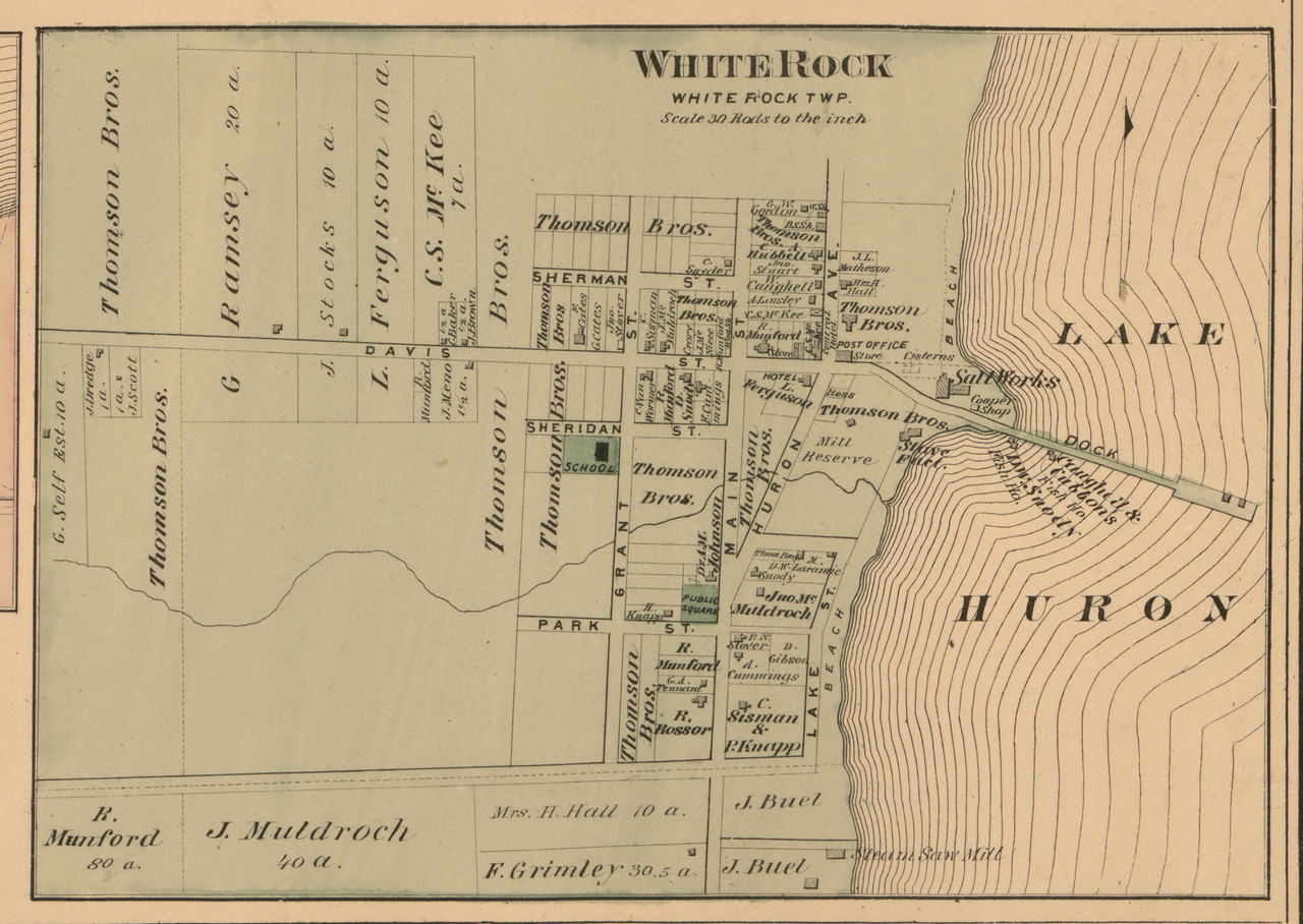White Rock Village Michigan 1875 Old Town Map Custom Print Huron Co Old Maps 6516