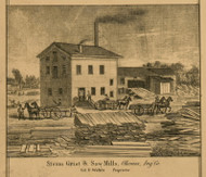 Steam Grist & Saw Mills, Michigan 1859 Old Town Map Custom Print - Ingham Co.