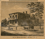 Shepard Store, Nankin, Michigan 1860 Old Town Map Custom Print - Wayne Co.