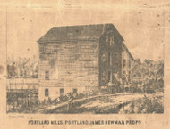 Portland Mills, Michigan 1861 Old Town Map Custom Print - Ionia Co.