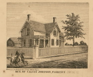 Johnson Residence, Florence, Michigan 1858 Old Town Map Custom Print - St. Joseph Co.