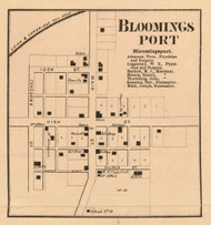 Bloomingsport Village, Washington, Indiana 1865 Old Town Map Custom Print - Randolph Co.