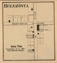 Buena Vista Village, West River, Indiana 1865 Old Town Map Custom Print - Randolph Co.